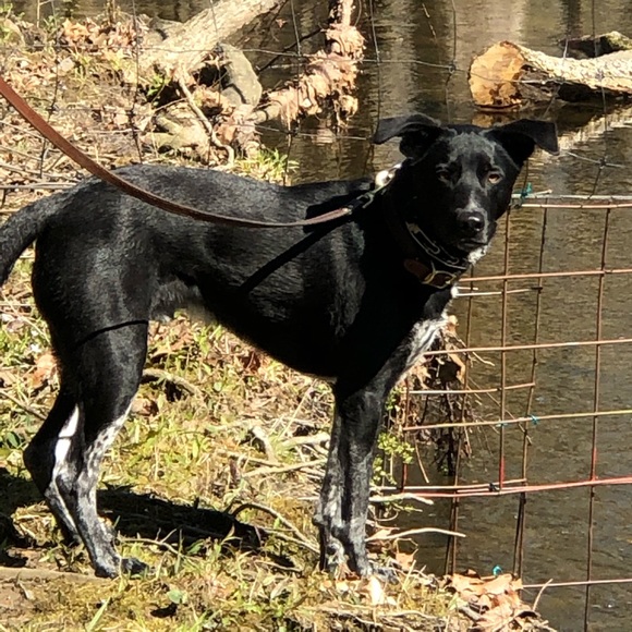 Meet your Posher, Krys - Picture 2 of 2